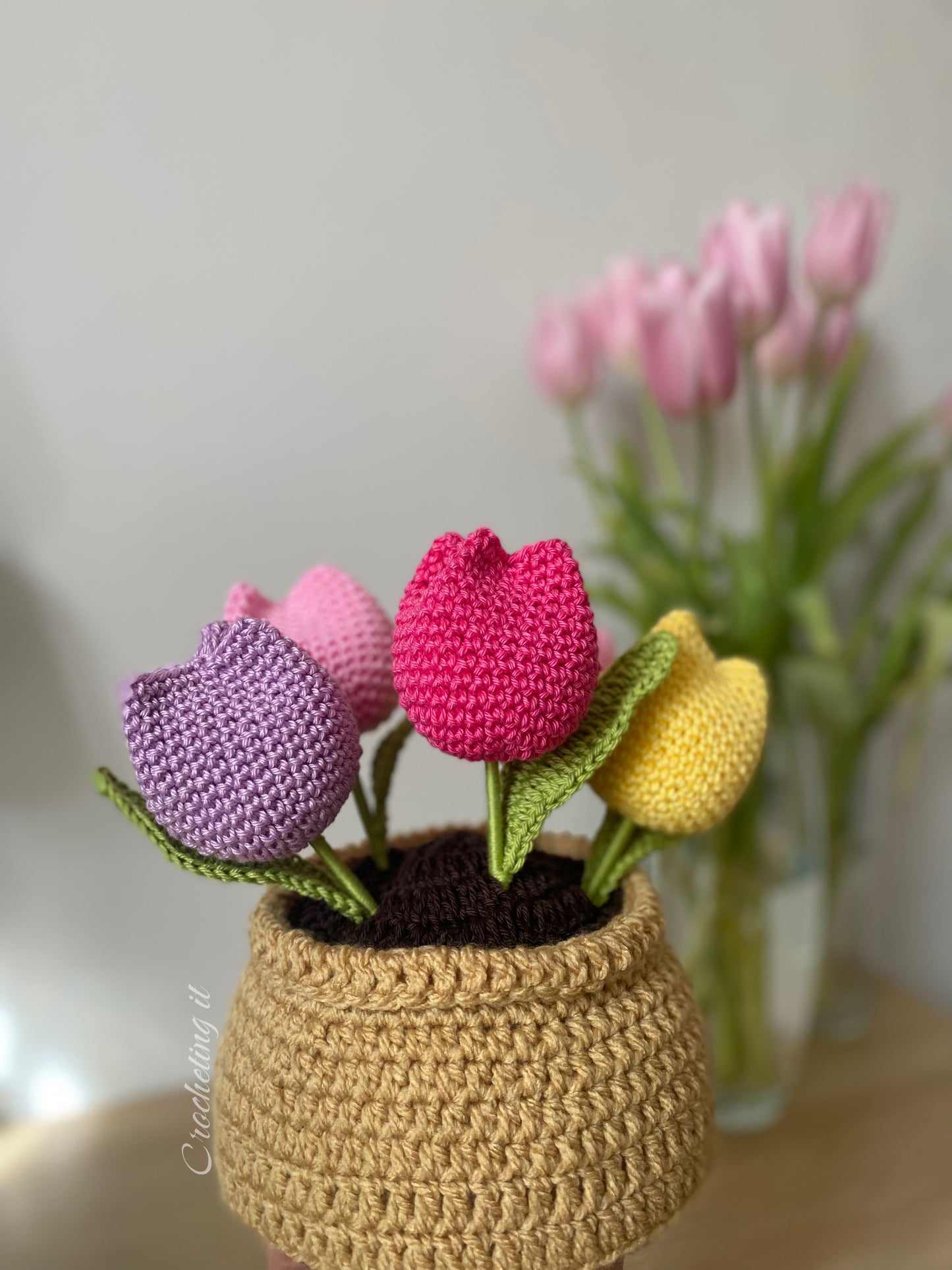 5 Tulipani in vaso multicolore