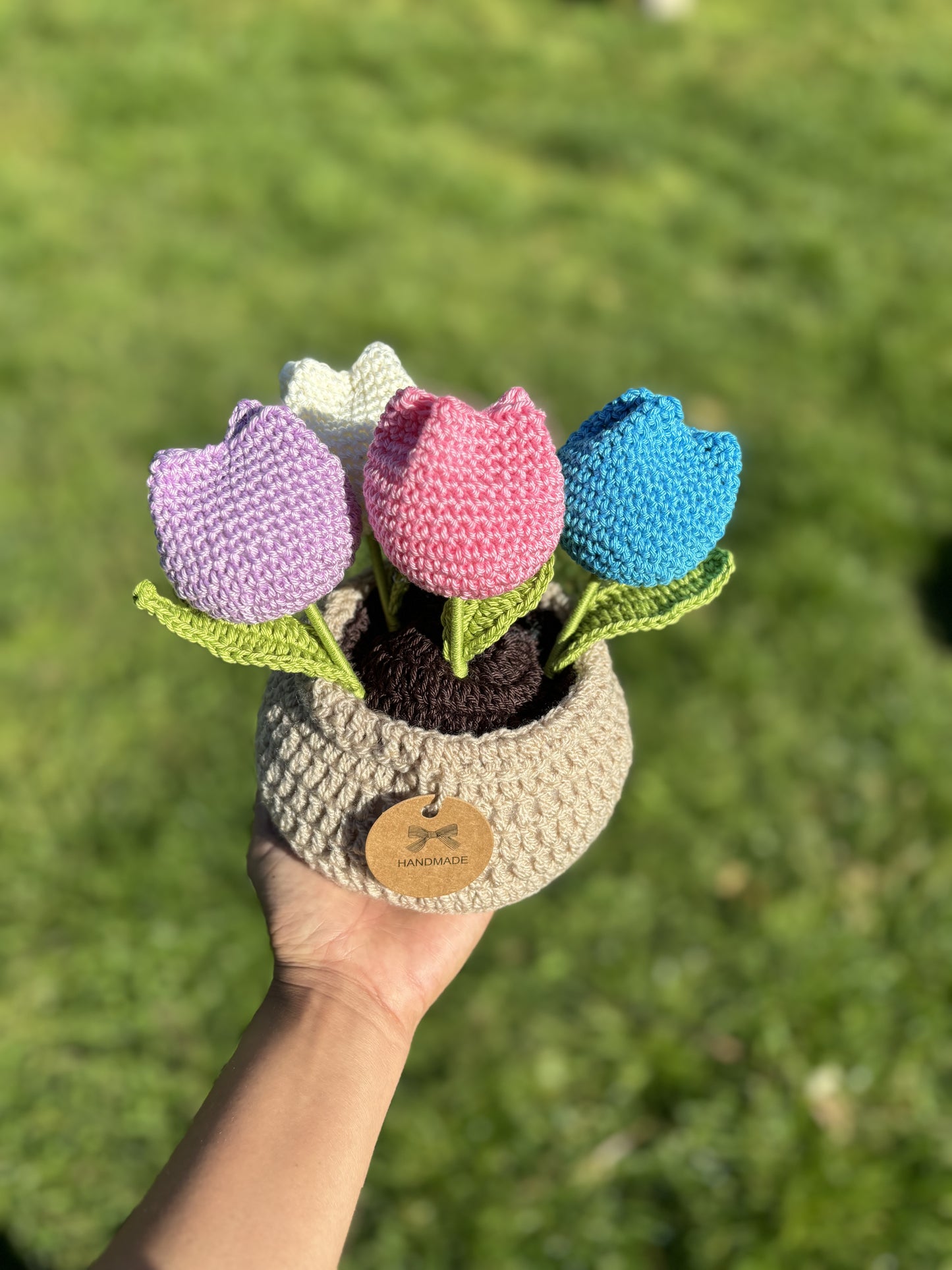 4 Tulipani in vaso model Azzurro