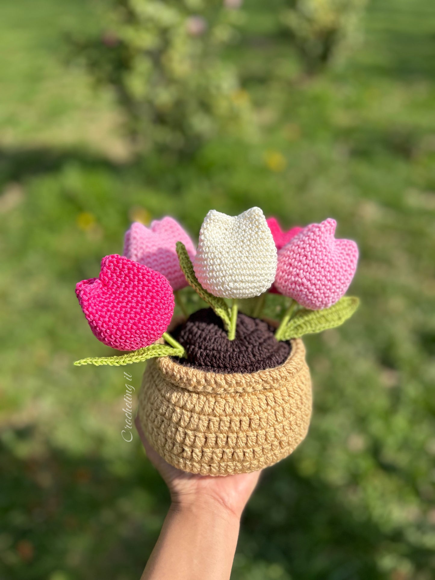 Tulipani in Vaso model Rosa