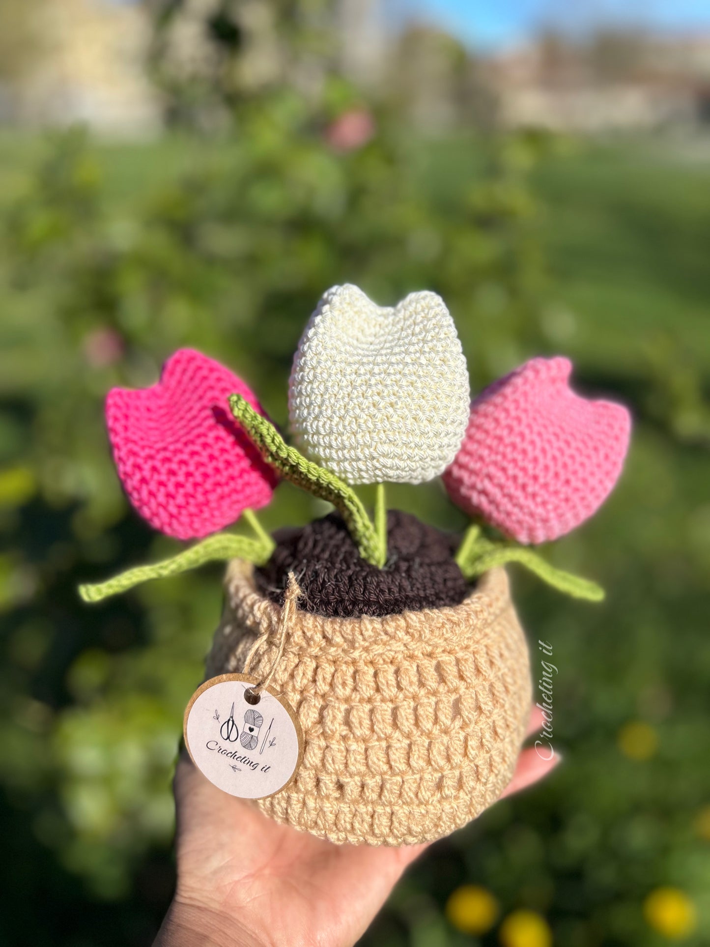 Tulipani in Vaso model Rosa